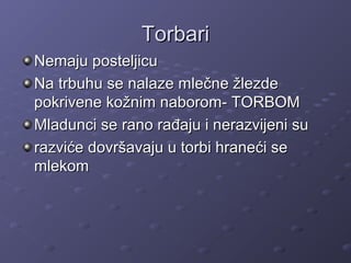TorbariTorbari
Nemaju posteljicuNemaju posteljicu
Na trbuhu se nalaze mlečne žlezdeNa trbuhu se nalaze mlečne žlezde
pokrivene kožnim naborom- TORBOMpokrivene kožnim naborom- TORBOM
Mladunci se rano rađaju i nerazvijeni suMladunci se rano rađaju i nerazvijeni su
razviće dovršavaju u torbi hraneći serazviće dovršavaju u torbi hraneći se
mlekommlekom
 