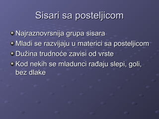 Sisari sa posteljicomSisari sa posteljicom
Najraznovrsnija grupa sisaraNajraznovrsnija grupa sisara
Mladi se razvijaju u materici sa posteljicomMladi se razvijaju u materici sa posteljicom
Dužina trudnoće zavisi od vrsteDužina trudnoće zavisi od vrste
Kod nekih se mladunci rađaju slepi, goli,Kod nekih se mladunci rađaju slepi, goli,
bez dlakebez dlake
 