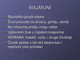 MAJMUNIMAJMUNI
Raznolika grupa sisaraRaznolika grupa sisara
Život provode na drveću, grmlju, zemljiŽivot provode na drveću, grmlju, zemlji
Na vrhovima prstiju imaju nokteNa vrhovima prstiju imaju nokte
Uglavnom žive u ropskim krajevimaUglavnom žive u ropskim krajevima
ISHRANA: Insekti, voće, i druge životinjeISHRANA: Insekti, voće, i druge životinje
Čovek spada u isti red sisara kao iČovek spada u isti red sisara kao i
majmuni (red primata)majmuni (red primata)
 