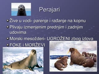 PerajariPerajari
Žive u vodi- parenje i rađanje na kopnuŽive u vodi- parenje i rađanje na kopnu
Plivaju izmenjenim prednjim i zadnjimPlivaju izmenjenim prednjim i zadnjim
udovimaudovima
Morski mesožderi- UGROŽENI zbog izlovaMorski mesožderi- UGROŽENI zbog izlova
FOKE i MORŽEVIFOKE i MORŽEVI
 