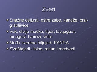ZveriZveri
Snažne čeljusti, oštre zube, kandže, brzi-Snažne čeljusti, oštre zube, kandže, brzi-
grabljivicegrabljivice
Vuk, divlja mačka, tigar, lav,jaguar,Vuk, divlja mačka, tigar, lav,jaguar,
mungosi, tvorovi, vidremungosi, tvorovi, vidre
Među zverima biljojed- PANDAMeđu zverima biljojed- PANDA
SVaštojedi- lisice, rakun i medvediSVaštojedi- lisice, rakun i medvedi
 