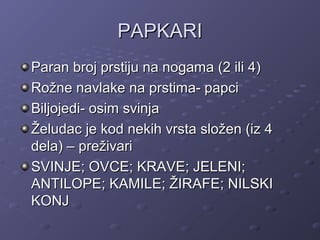 PAPKARIPAPKARI
Paran broj prstiju na nogama (2 ili 4)Paran broj prstiju na nogama (2 ili 4)
Rožne navlake na prstima- papciRožne navlake na prstima- papci
Biljojedi- osim svinjaBiljojedi- osim svinja
Želudac je kod nekih vrsta složen (iz 4Želudac je kod nekih vrsta složen (iz 4
dela) – preživaridela) – preživari
SVINJE; OVCE; KRAVE; JELENI;SVINJE; OVCE; KRAVE; JELENI;
ANTILOPE; KAMILE; ŽIRAFE; NILSKIANTILOPE; KAMILE; ŽIRAFE; NILSKI
KONJKONJ
 