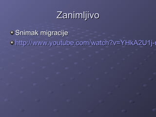 ZanimljivoZanimljivo
Snimak migracijeSnimak migracije
http://www.youtube.com/watch?v=YHkA2U1j-mhttp://www.youtube.com/watch?v=YHkA2U1j-m
 