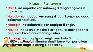 Klase ti Panawen
 Nainit- no napudot ken nalawag ti tangatang ken iti
aglawlaw.
 Natudo- no nababa ken nangisit dagiti ulep nga adda
kakuyog na atudo.
 Naangin- no nalammiis ken napigsa ti angin.
 Naulep- no saan a makita ti init gapu ta nalingedan ti
napuskol ken maris dapo nga ulep.
 Agbagyo- no napigsa ti angin ken tudo iti
aglawlaw.Urayla mitumba dagiti kayo ken poste ken
maitayab dagiti bubong ti babbalay.
 