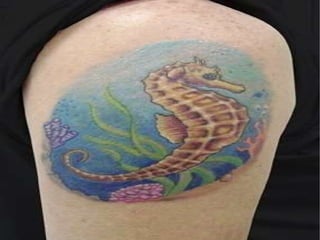 Rua Tenente Manoel Alves dos Anjos, 34 – Centro  (Próximo a estação Mogi das Cruzes) Contato: 2786-6083 Tattoos by Fredd 