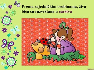 Prema zajedničkim osobinama, živa
bića su razvrstana u carstva
 