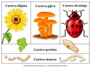 Carstvo biljaka Carstvo gljiva Carstvo životinja
Carstvo protista
Carstvo monera
 