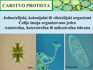 CARSTVO PROTISTA
Jednoćelijski, kolonijalni ili višećelijski organizmi
Ćelije imaju organizovano jedro
Autotrofna, heterotrofna ili miksotrofna ishrana
Alge Praživotinje
 