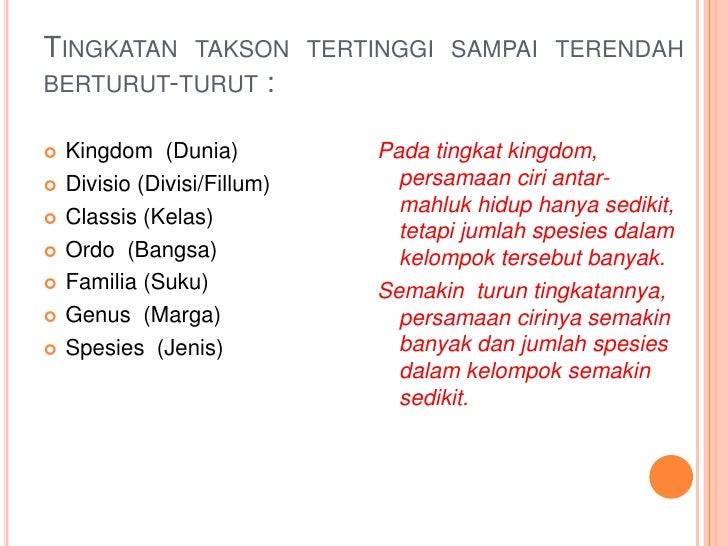 Classification of Organism (Pengelompokan Mahluk Hidup)