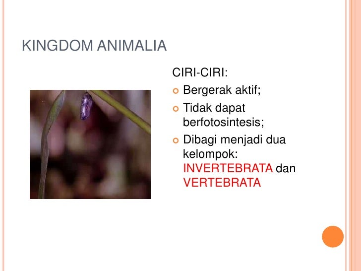 Classification of Organism (Pengelompokan Mahluk Hidup)