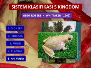 SISTEM KLASIFIKASI 5 KINGDOM
OLEH ROBERT H. WHITTAKER ( 1969)
1. MONERA
2. PROTISTA
3. FUNGI
4. PLANTAE
5. ANIMALIA
 