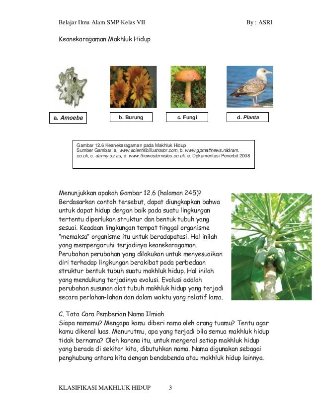 Klasifikasi Makhluk Hidup2