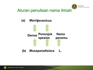Aturan penulisan nama ilmiah
(a) Manis
javanicus
Genus Penunjuk
spesies
Nama
penemu
(b) Musaparadisiaca L.
 