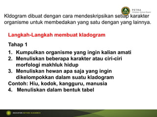 Kldogram dibuat dengan cara mendeskripsikan setiap karakter
organisme untuk membedakan yang satu dengan yang lainnya.
Langkah-Langkah membuat kladogram
1. Kumpulkan organisme yang ingin kalian amati
2. Menuliskan beberapa karakter atau ciri-ciri
morfologi makhluk hidup
3. Menuliskan hewan apa saja yang ingin
dikelompokkan dalam suatu kladogram
Contoh: Hiu, kodok, kangguru, manusia
4. Menuliskan dalam bentuk tabel
Tahap 1
 