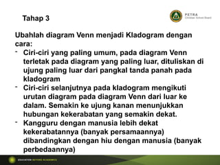 Tahap 3
Ubahlah diagram Venn menjadi Kladogram dengan
cara:
- Ciri-ciri yang paling umum, pada diagram Venn
terletak pada diagram yang paling luar, dituliskan di
ujung paling luar dari pangkal tanda panah pada
kladogram
- Ciri-ciri selanjutnya pada kladogram mengikuti
urutan diagram pada diagram Venn dari luar ke
dalam. Semakin ke ujung kanan menunjukkan
hubungan kekerabatan yang semakin dekat.
- Kangguru dengan manusia lebih dekat
kekerabatannya (banyak persamaannya)
dibandingkan dengan hiu dengan manusia (banyak
perbedaannya)
 