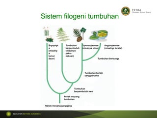Sistem filogeni tumbuhan
Bryophyt
a
(misalny
a
lumut
daun)
Tumbuhan
berpembuluh
(misalnya
paku-
pakuan)
Gymnospermae
(misalnya pinus)
Angiospermae
(misalnya teratai)
Tumbuhan berbunga
Tumbuhan berbiji
yang pertama
Tumbuhan
berpembuluh awal
Nenek moyang
tumbuhan
Nenek moyang ganggang
 