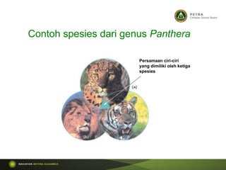 Contoh spesies dari genus Panthera
Persamaan ciri-ciri
yang dimiliki oleh ketiga
spesies
 