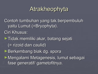 Atrakheophyta
Contoh tumbuhan yang tak berpembuluh
yaitu Lumut (=Bryophyta).
Ciri Khusus:
► Tidak memiliki akar, batang sejati
(= rizoid dan caulid)
► Berkembang biak dg. spora
► Mengalami Metagenesis, lumut sebagai
fase generatif/ gametofitnya.

 