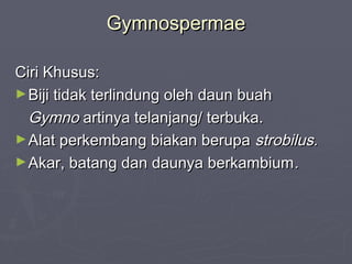 Gymnospermae
Ciri Khusus:
► Biji tidak terlindung oleh daun buah
Gymno artinya telanjang/ terbuka.
► Alat perkembang biakan berupa strobilus.
► Akar, batang dan daunya berkambium .

 