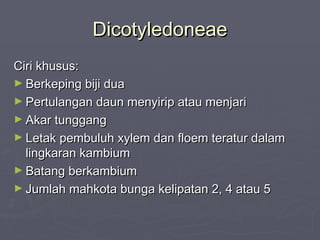 Dicotyledoneae
Ciri khusus:
► Berkeping biji dua
► Pertulangan daun menyirip atau menjari
► Akar tunggang
► Letak pembuluh xylem dan floem teratur dalam
lingkaran kambium
► Batang berkambium
► Jumlah mahkota bunga kelipatan 2, 4 atau 5

 