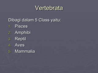 Vertebrata
Dibagi dalam 5 Class yaitu:
1. Pisces
2. Amphibi
3. Reptil
4. Aves
5. Mammalia

 