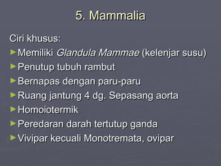 5. Mammalia
Ciri khusus:
► Memiliki Glandula Mammae (kelenjar susu)
► Penutup tubuh rambut
► Bernapas dengan paru-paru
► Ruang jantung 4 dg. Sepasang aorta
► Homoiotermik
► Peredaran darah tertutup ganda
► Vivipar kecuali Monotremata, ovipar

 
