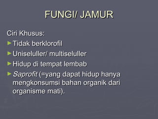 FUNGI/ JAMUR
Ciri Khusus:
► Tidak berklorofil
► Uniseluller/ multiseluller
► Hidup di tempat lembab
► Saprofit (=yang dapat hidup hanya
mengkonsumsi bahan organik dari
organisme mati).

 