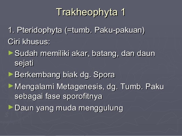 Klasifikasi 2013baru