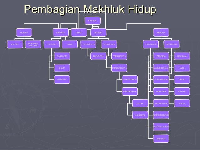 Klasifikasi 2013baru