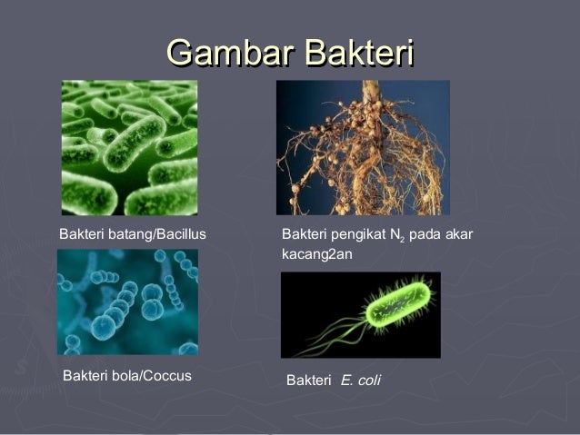 Klasifikasi 2013baru