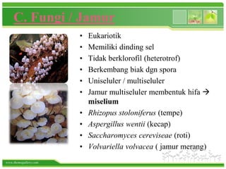 www.themegallery.com
C. Fungi / Jamur
• Eukariotik
• Memiliki dinding sel
• Tidak berklorofil (heterotrof)
• Berkembang biak dgn spora
• Uniseluler / multiseluler
• Jamur multiseluler membentuk hifa 
miselium
• Rhizopus stoloniferus (tempe)
• Aspergillus wentii (kecap)
• Saccharomyces cereviseae (roti)
• Volvariella volvacea ( jamur merang)
 