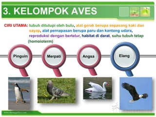 www.themegallery.com
3. KELOMPOK AVES
Pinguin Merpati Angsa
CIRI UTAMA: tubuh ditutupi oleh bulu, alat gerak berupa sepasang kaki dan
sayap, alat pernapasan berupa paru dan kantong udara,
reproduksi dengan bertelur, habitat di darat, suhu tubuh tetap
(homoioterm)
Elang
 