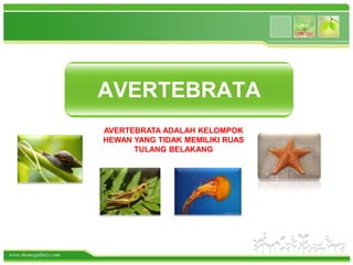 www.themegallery.com
AVERTEBRATA
AVERTEBRATA ADALAH KELOMPOK
HEWAN YANG TIDAK MEMILIKI RUAS
TULANG BELAKANG
 