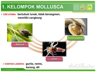 www.themegallery.com
Bekicot
Tiram mutiara
 CIRI UTAMA: bertubuh lunak, tidak bersegmen,
memiliki cangkang
1. KELOMPOK MOLLUSCA
 CONTOH LAINNYA: gurita, remis,
kerang, dll
cumi
 