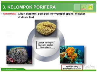 www.themegallery.com
3. KELOMPOK PORIFERA
Contoh kelompok
hewan ini adalah:
Spongia s.p
Spongia yang
melekat di dasar laut
Title in
here
 CIRI UTAMA: tubuh dipenuhi pori-pori menyerupai spons, melekat
di dasar laut
 