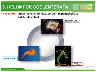 www.themegallery.com
5. KELOMPOK COELENTERATA
ANEMON LAUT
UBUR-UBUR
HYDRA
Title in
here
Title in
here
Title in
here
 CIRI UTAMA: tubuh memiliki rongga, berbentuk polip/medusa,
habitat di air laut
 