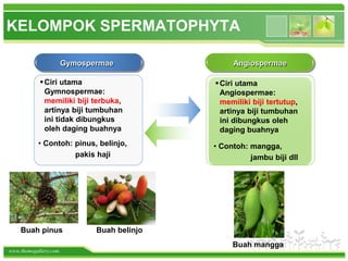 www.themegallery.com
KELOMPOK SPERMATOPHYTA
Gymospermae Angiospermae
• Contoh: pinus, belinjo,
pakis haji
Ciri utama
Gymnospermae:
memiliki biji terbuka,
artinya biji tumbuhan
ini tidak dibungkus
oleh daging buahnya
Buah pinus Buah belinjo
Ciri utama
Angiospermae:
memiliki biji tertutup,
artinya biji tumbuhan
ini dibungkus oleh
daging buahnya
• Contoh: mangga,
jambu biji dll
Buah mangga
 