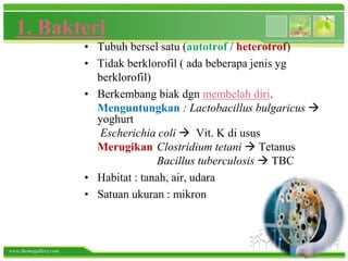 www.themegallery.com
1. Bakteri
• Tubuh bersel satu (autotrof / heterotrof)
• Tidak berklorofil ( ada beberapa jenis yg
berklorofil)
• Berkembang biak dgn membelah diri.
Menguntungkan : Lactobacillus bulgaricus 
yoghurt
Escherichia coli  Vit. K di usus
Merugikan Clostridium tetani  Tetanus
Bacillus tuberculosis  TBC
• Habitat : tanah, air, udara
• Satuan ukuran : mikron
 