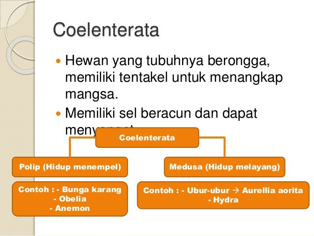 Klasifikasi benda dan makhluk hidup 3