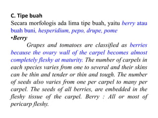 C. Tipe buah
Secara morfologis ada lima tipe buah, yaitu berry atau
buah buni, hesperidium, pepo, drupe, pome
•Berry
Grapes and tomatoes are classified as berries
because the ovary wall of the carpel becomes almost
completely fleshy at maturity. The number of carpels in
each species varies from one to several and their skins
can be thin and tender or thin and tough. The number
of seeds also varies from one per carpel to many per
carpel. The seeds of all berries, are embedded in the
fleshy tissue of the carpel. Berry : All or most of
pericarp fleshy.
 
