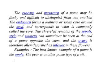 The exocarp and mesocarp of a pome may be
fleshy and difficult to distinguish from one another.
The endocarp forms a leathery or stony case around
the seed, and corresponds to what is commonly
called the core. The shriveled remains of the sepals,
style and stamens can sometimes be seen at the end
of a pome opposite the stem, and the ovary is
therefore often described as inferior in these flowers.
Examples : The best-known example of a pome is
the apple. The pear is another pome type of fruit.
.
 