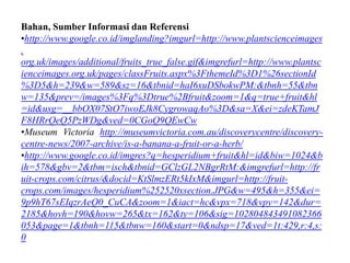 Bahan, Sumber Informasi dan Referensi
•http://www.google.co.id/imglanding?imgurl=http://www.plantscienceimages
.
org.uk/images/additional/fruits_true_false.gif&imgrefurl=http://www.plantsc
ienceimages.org.uk/pages/classFruits.aspx%3FthemeId%3D1%26sectionId
%3D5&h=239&w=589&sz=16&tbnid=haI6xuDSbokwPM:&tbnh=55&tbn
w=135&prev=/images%3Fq%3Dtrue%2Bfruit&zoom=1&q=true+fruit&hl
=id&usg=__bbOX07StO7iwoEJk8CygrowaqAo%3D&sa=X&ei=zdeKTamJ
F8HRrQeQ5PzWDg&ved=0CGoQ9QEwCw
•Museum Victoria http://museumvictoria.com.au/discoverycentre/discovery-
centre-news/2007-archive/is-a-banana-a-fruit-or-a-herb/
•http://www.google.co.id/imgres?q=hesperidium+fruit&hl=id&biw=1024&b
ih=578&gbv=2&tbm=isch&tbnid=GClzGL2NBgrRtM:&imgrefurl=http://fr
uit-crops.com/citrus/&docid=KtSlmzERt5kIxM&imgurl=http://fruit-
crops.com/images/hesperidium%252520xsection.JPG&w=495&h=355&ei=
9p9hT67sEIqzrAeQ0_CuCA&zoom=1&iact=hc&vpx=718&vpy=142&dur=
2185&hovh=190&hovw=265&tx=162&ty=106&sig=102804843491082366
053&page=1&tbnh=115&tbnw=160&start=0&ndsp=17&ved=1t:429,r:4,s:
0
 