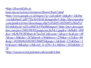 •http://jbworld.jbs.st-
louis.mo.us/science/resources/flower/fruit1.html
•http://www.google.co.id/imgres?q=calyx&hl=id&gbv=2&tbm
=isch&tbnid=jjB77TjeXrGSsM:&imgrefurl=http://davesgarden
.com/guides/terms/showimage.php%3Fdid%3D2646%26tid%3
D144&docid=oZ1xz0M23cFPpM&imgurl=http://pics.davesgar
den.com/pics/2003/08/03/poppysue/fa54c1.jpg&w=640&h=480
&ei=vKJhT5CfEMmtrAe7na2nCA&zoom=1&iact=hc&vpx=48
7&vpy=30&dur=247&hovh=194&hovw=259&tx=131&ty=86
&sig=102804843491082366053&page=1&tbnh=121&tbnw=1
61&start=0&ndsp=18&ved=1t:429,r:9,s:0&biw=1024&bih=5
78
•http://waynesword.palomar.edu/termfr4.htm
 