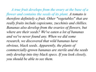 A true fruit develops from the ovary at the base of a
flower and contains the seeds of its plant. A tomato is
therefore definitely a fruit. Other “vegetables” that are
really fruits include capsicums, zucchinis and chillies.
Bananas also develop from the ovaries of flowers, but
where are their seeds? We’ve eaten a lot of bananas
and we’ve never found any. When we did some
research, we discovered that wild bananas have
obvious, black seeds. Apparently, the plants of
commercially-grown bananas are sterile and the seeds
only develop into tiny black specs. If you look closely,
you should be able to see them.
 