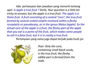 Ada pertanyaan dan jawaban yang menarik tentang
apel. Is apple a true fruit ? Smile, Your question is a little bit
tricky to answer, but the apple is a true fruit. The apple is a
Pome fruit. A fruit consisting of a central “core”, the true fruit
formed by several united carpels enclosed within a fleshy
receptacle or pseudocarp, as in the genus Malus (apple). So the
actual core of the apple is a fruit, the fleshy part of the apple
that you eat is a pome of the fruit, which makes some people
to call it a false fruit, but it is in reality a true fruit.
Pertanyaan yang sama juga dapat terjadi pada buah pir
Pear: Only the core,
containing small black seeds,
is the true fruit; the fleshy,
edible part is formed from the
stalk.
 