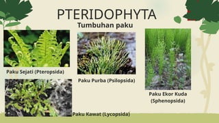 Klasifikasi dan Keanekaragaman Makhluk Hidup.pptx