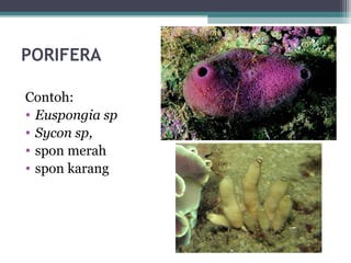 Klasifikasi hewan | PPT