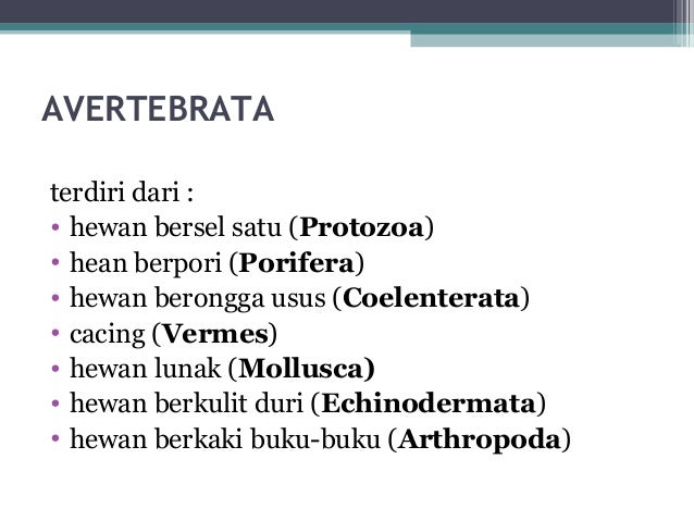 Contoh Hewan Avertebrata Dan Nama Latinnya - Ternyata 