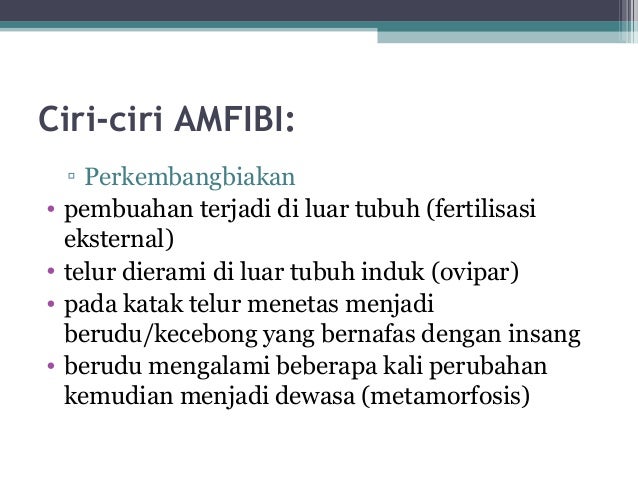 Klasifikasi hewan
