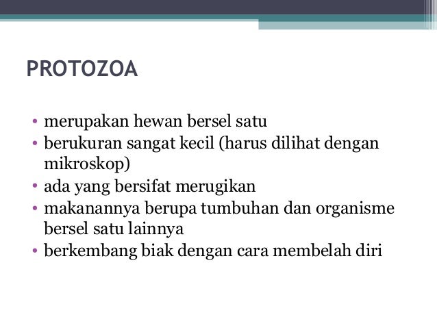 Klasifikasi Hewan